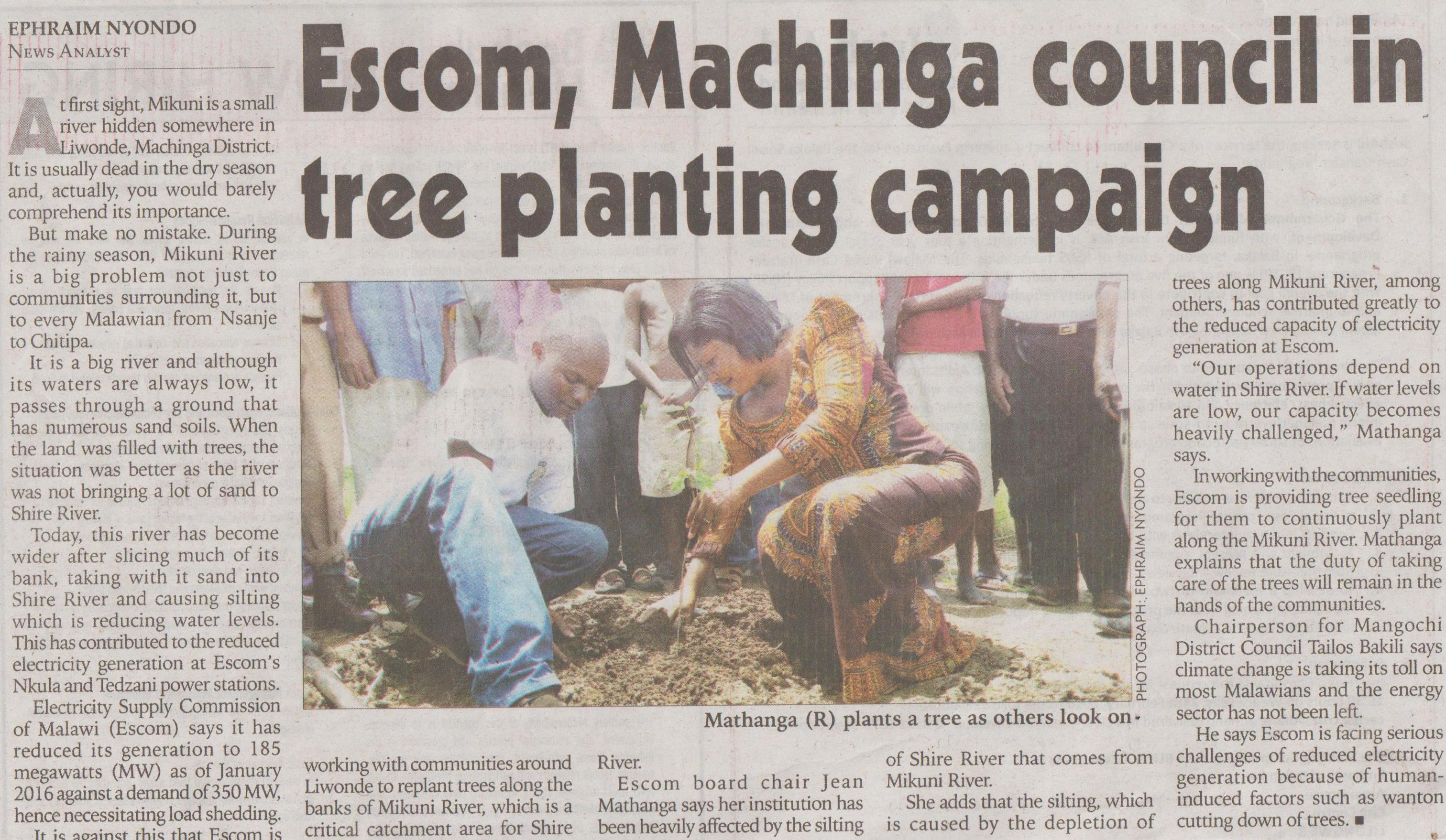 machinga escom planting trees 001crop.jpg