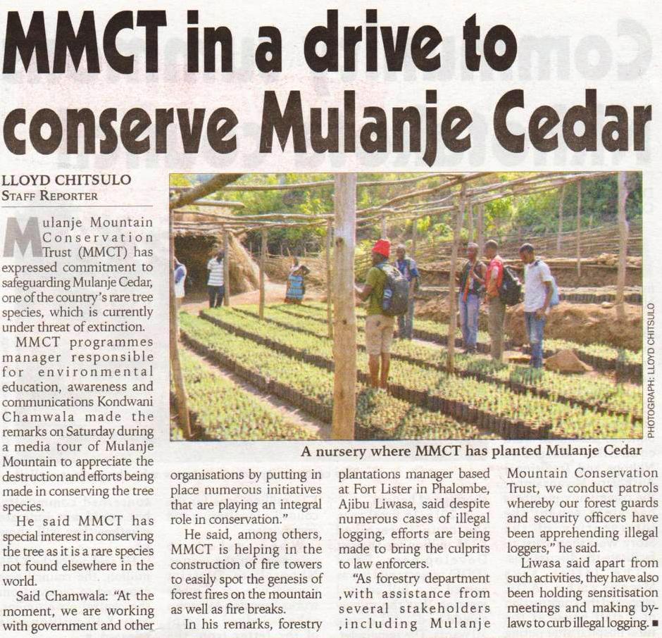 MMCT in drive to conserve Mulanje Cedar_2017-08-30_The Nation.JPG