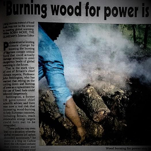 2018-1-2_TN_Burning wood for power is 'misguided'.jpg