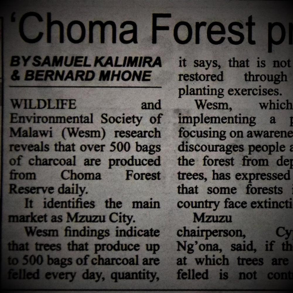 2018-8-17_TDT_Choma Forest produces 500 charoal bags daily1.jpg